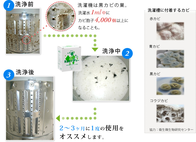 洗濯機は黒カビの巣